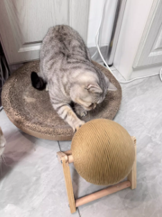 Cat Scratching Board With Sword Ball